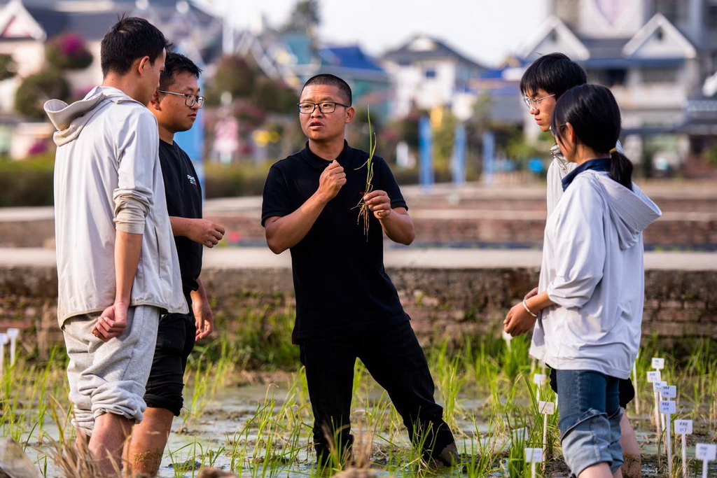 2月27日，青年教师黄光福（中）在试验田间给学生授课。 