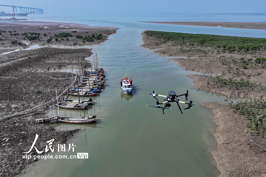 福建漳州：守护湿地生态安全