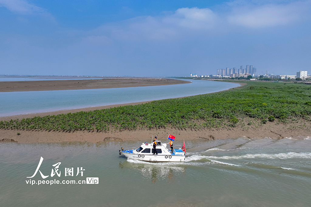 福建漳州：守护湿地生态安全【3】