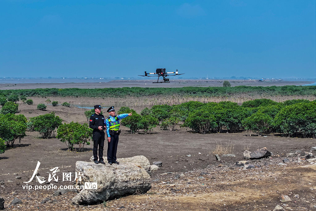 福建漳州：守护湿地生态安全【4】