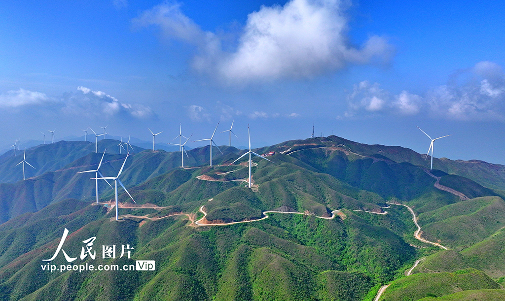 湖南桂阳：绿色生态 “风”景如画【2】