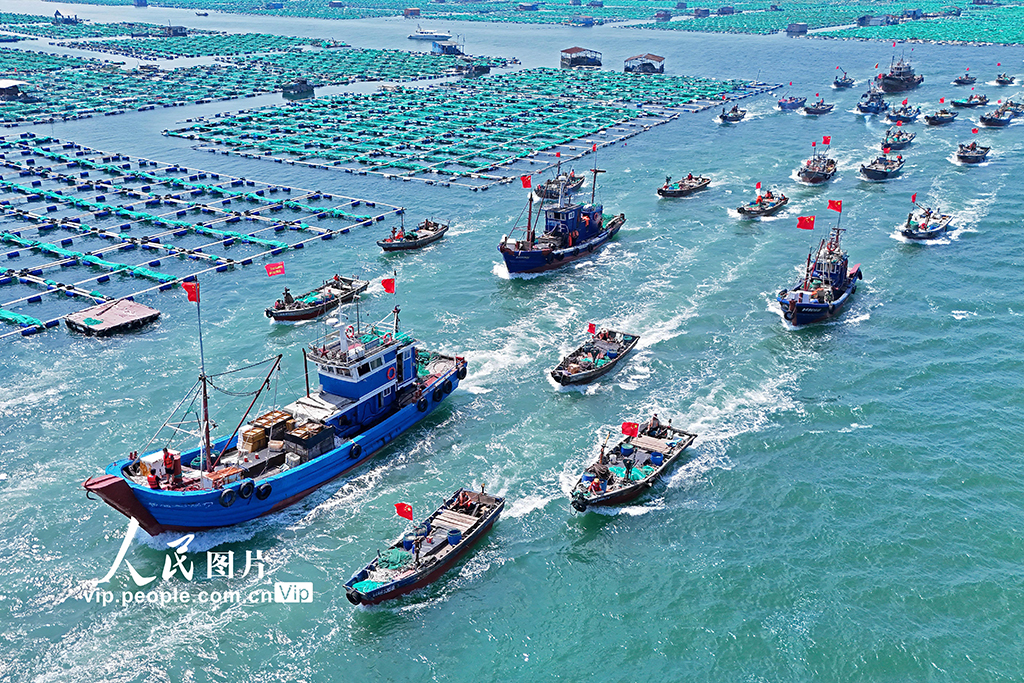 千船竞发耕蓝海
