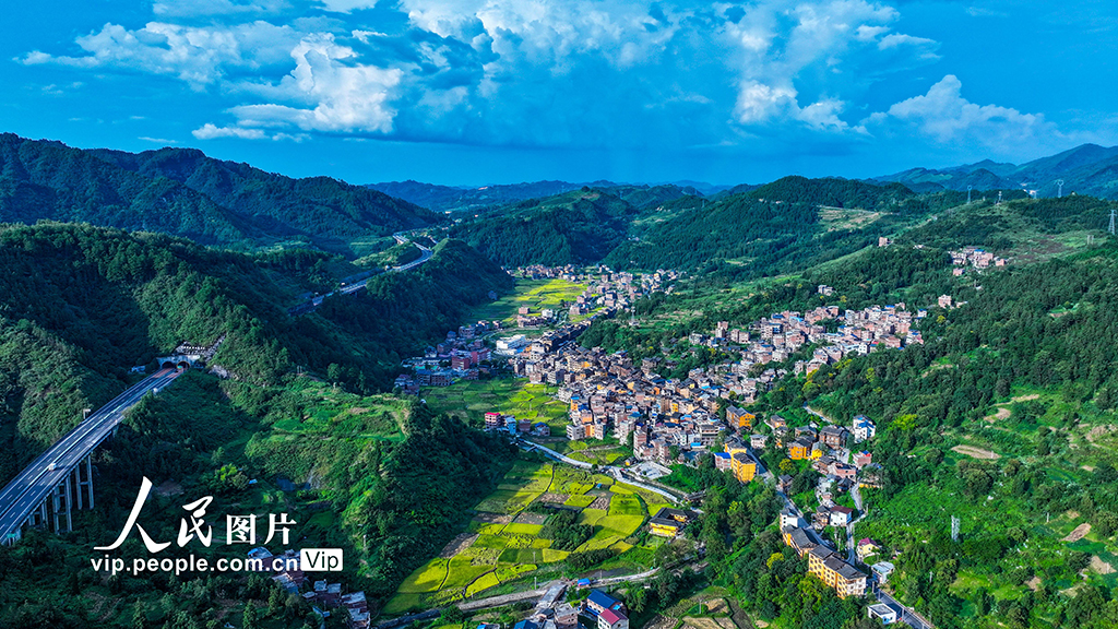 贵州三穗：乡村好“丰”景