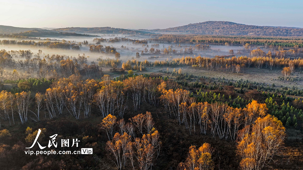 河北围场：坝上草原秋景如画【2】