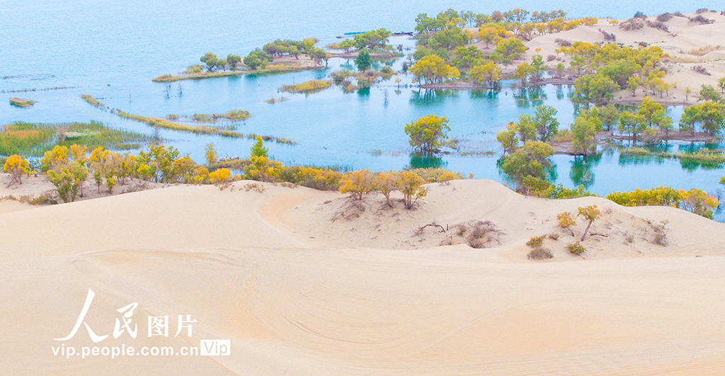 新疆尉犁：人在画中游【7】