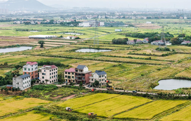 浙江金华：万亩良田示范区迎丰收