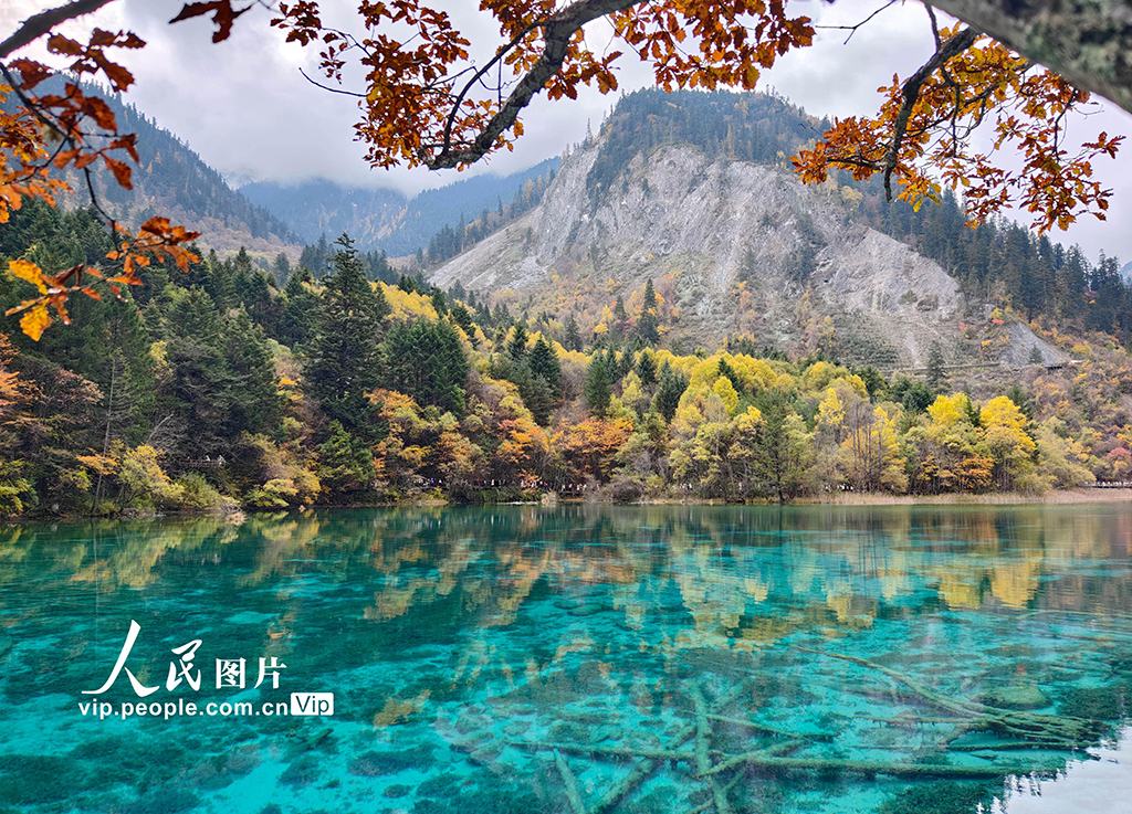 九寨沟 层林尽染