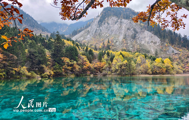 九寨沟 层林尽染