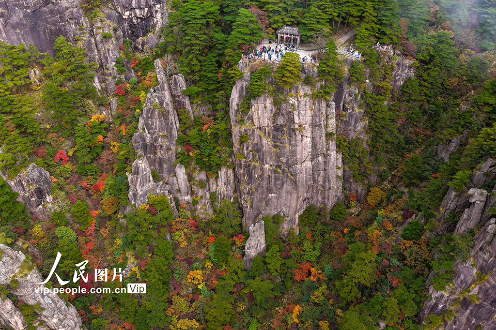 安徽黄山：峰林尽染秋意浓【2】