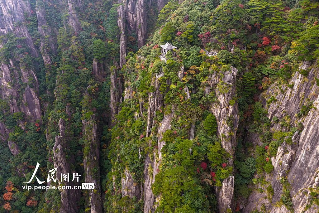 安徽黄山：峰林尽染秋意浓【3】