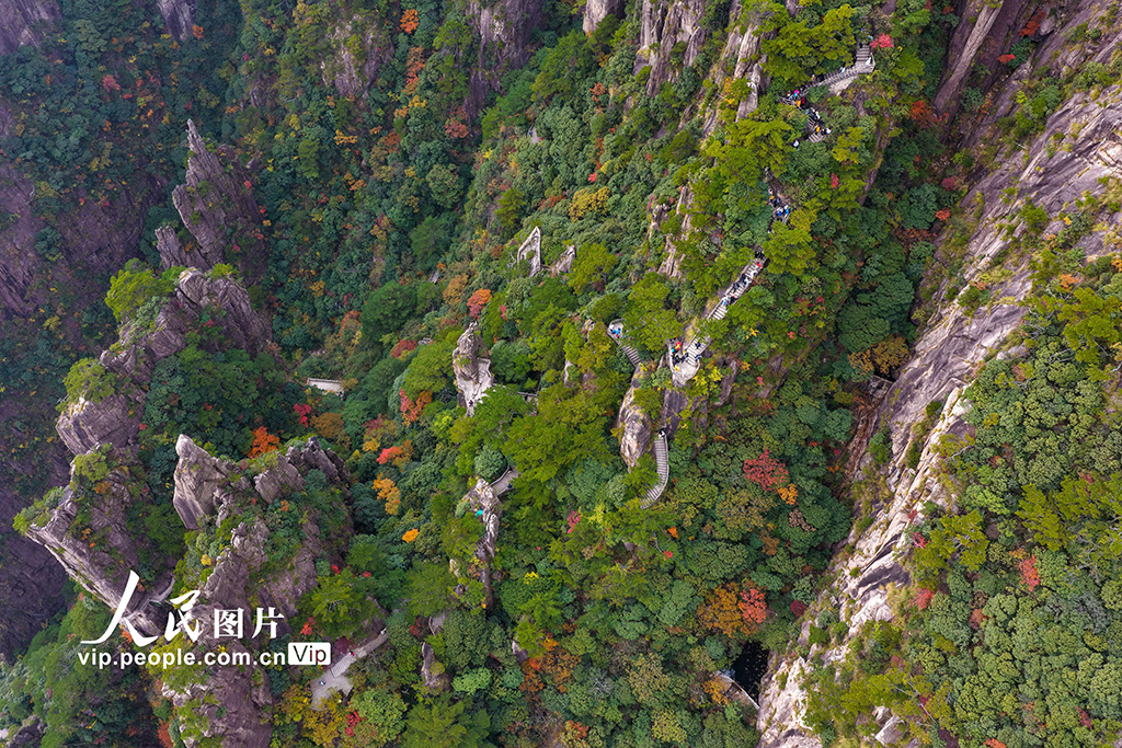 安徽黄山：峰林尽染秋意浓【4】