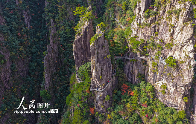 安徽黄山：峰林尽染秋意浓