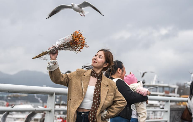 “春城”昆明冬赏鸥