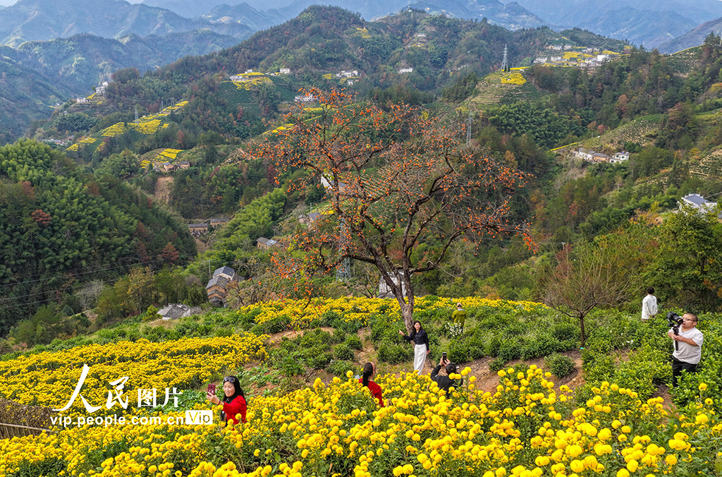 安徽歙县：山乡景色美【2】
