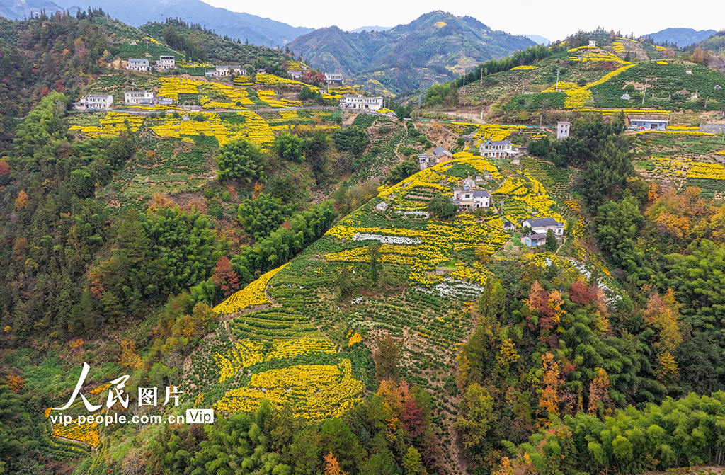 安徽歙县：山乡景色美
