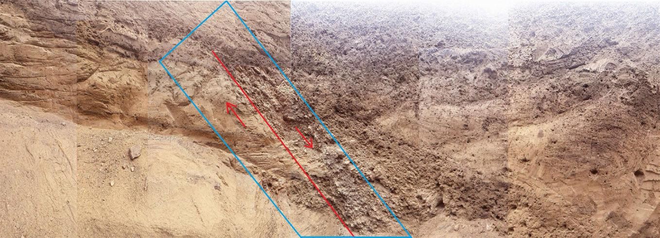 大青山山前断裂带一处探槽内，明显的活动断层剖面。（中国地震局供图）