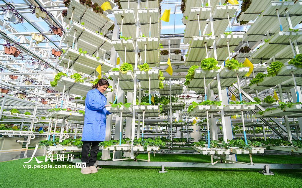 新疆昌吉：智慧农业促发展【7】