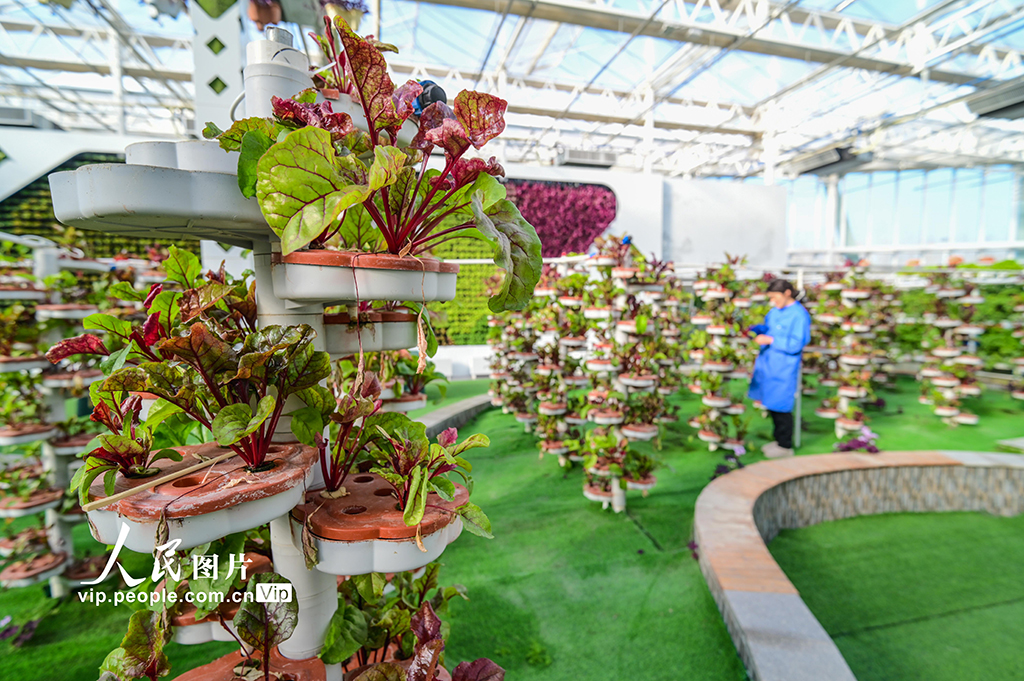 新疆昌吉：智慧农业促发展【4】