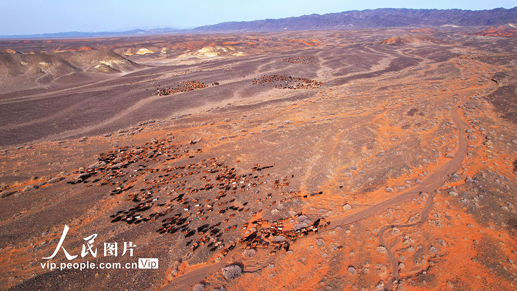 新疆阿勒泰：牧民冬季转场【3】