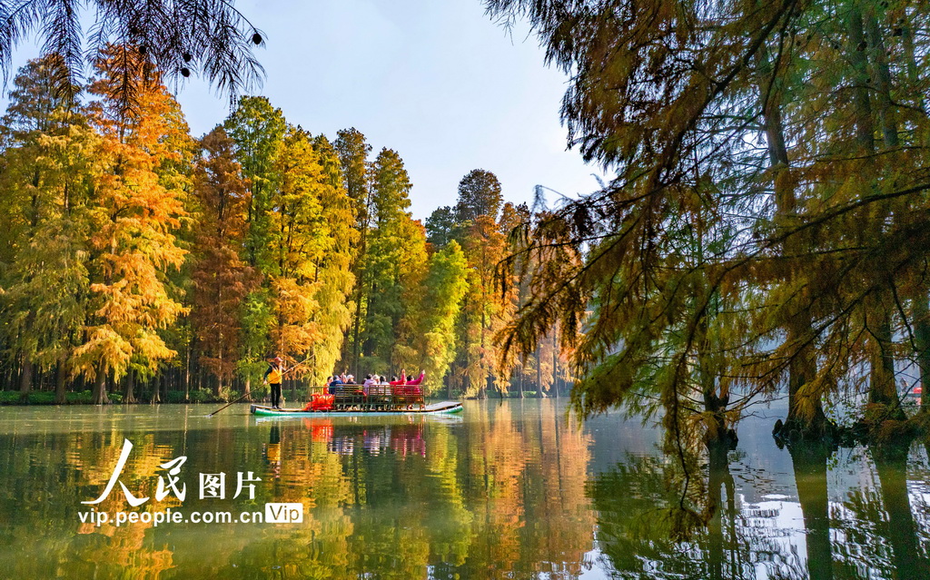 江苏兴化：湿地公园冬景如画【3】