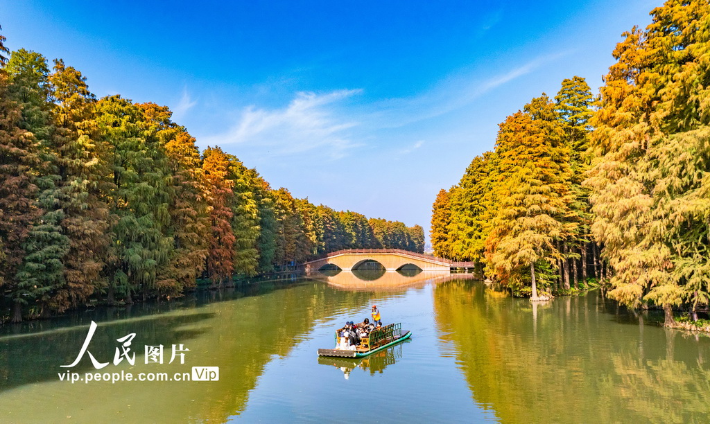 江苏兴化：湿地公园冬景如画【4】