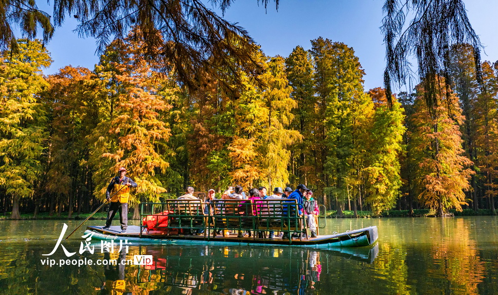 江苏兴化：湿地公园冬景如画【6】
