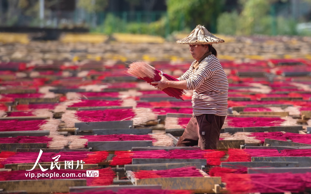 福建永春：冬日晒香【5】