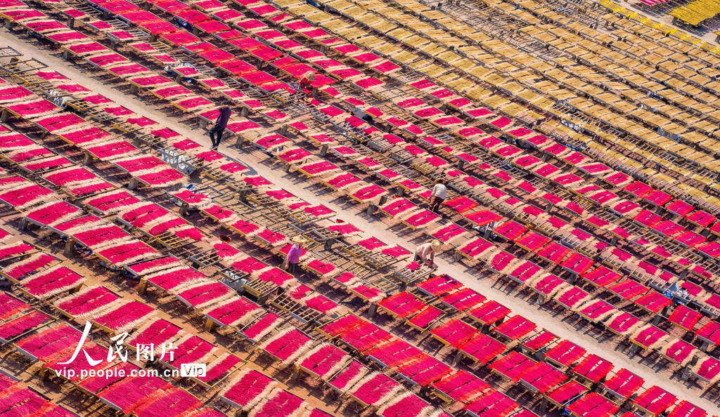 福建永春：冬日晒香【6】