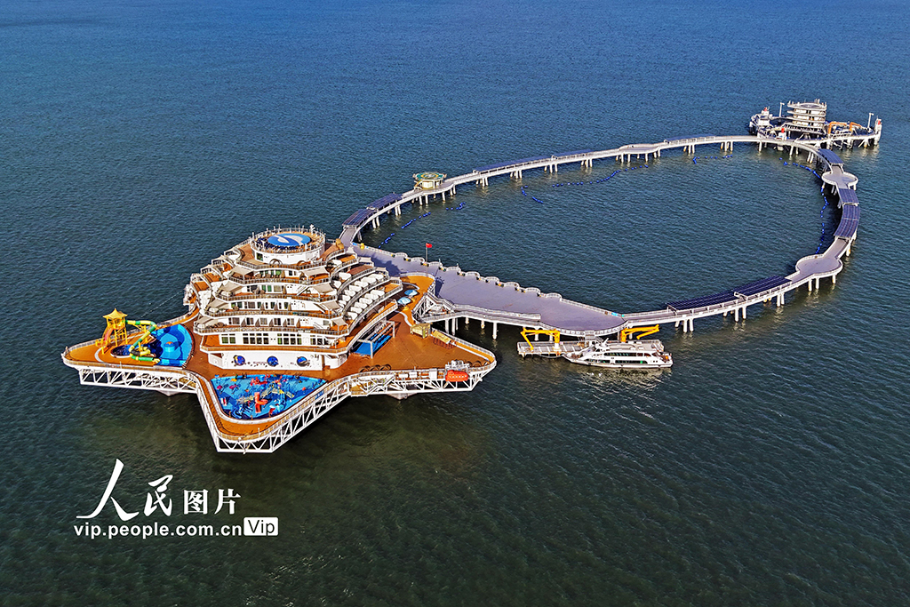 山东烟台：打造智慧海洋牧场 助力海洋经济高质量发展【7】