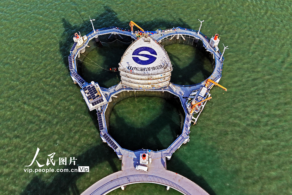 山东烟台：打造智慧海洋牧场 助力海洋经济高质量发展【8】