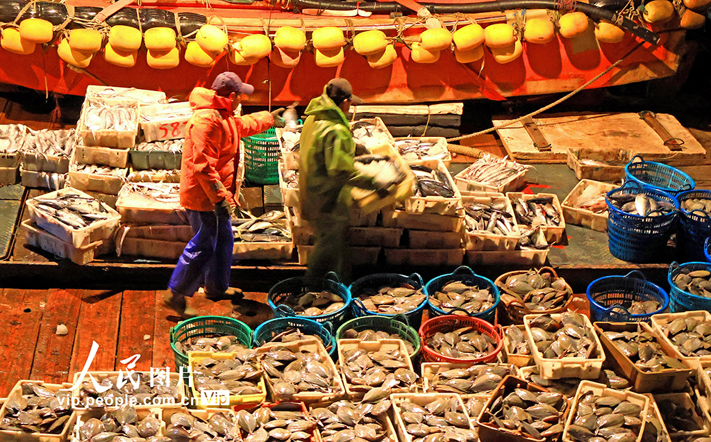 浙江玉环：渔获丰收【4】