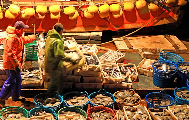 浙江玉环：渔获丰收