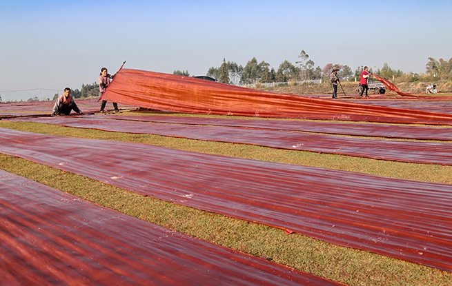 广西蒙山：晾晒香云纱