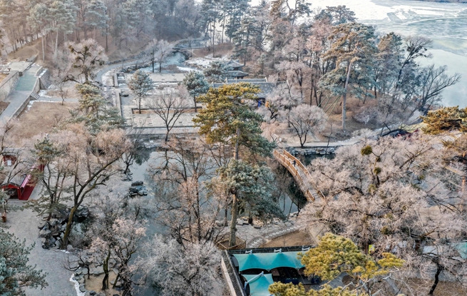 河北承德：避暑山庄现雾凇景观