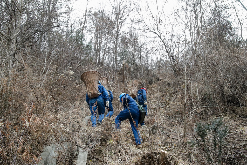 1月18日，在甘肃省陇南市两当县泰山乡同心村，杨店供电所职工背着背篓上山巡检供电线路并为山区群众配送生活物资。