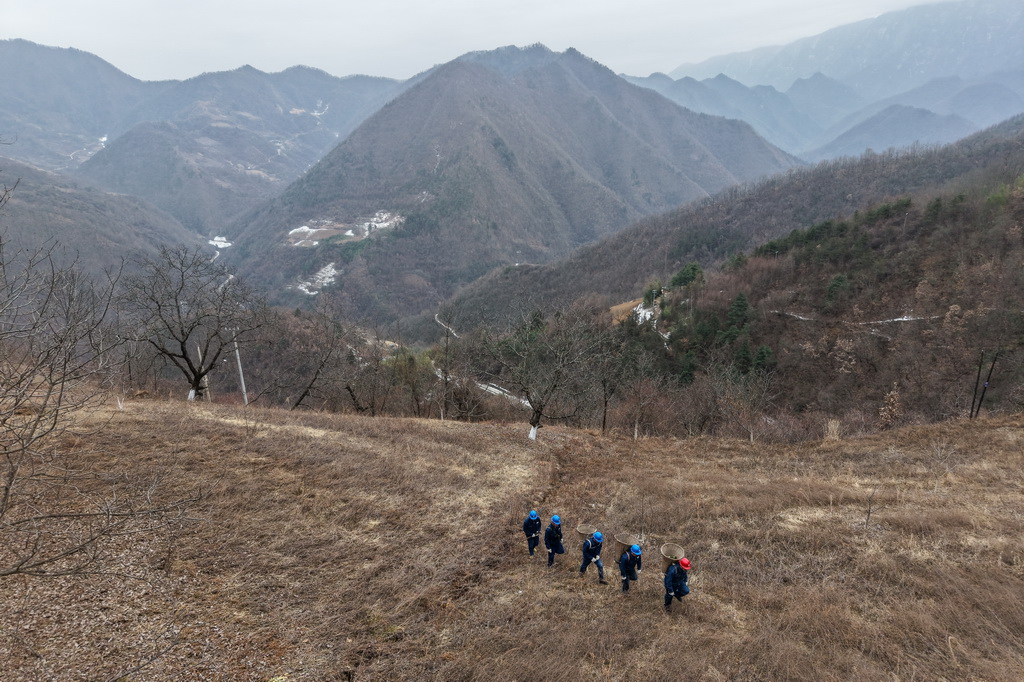 1月18日，在甘肃省陇南市两当县泰山乡新崖村，杨店供电所职工在大山深处巡检供电线路（无人机照片）。