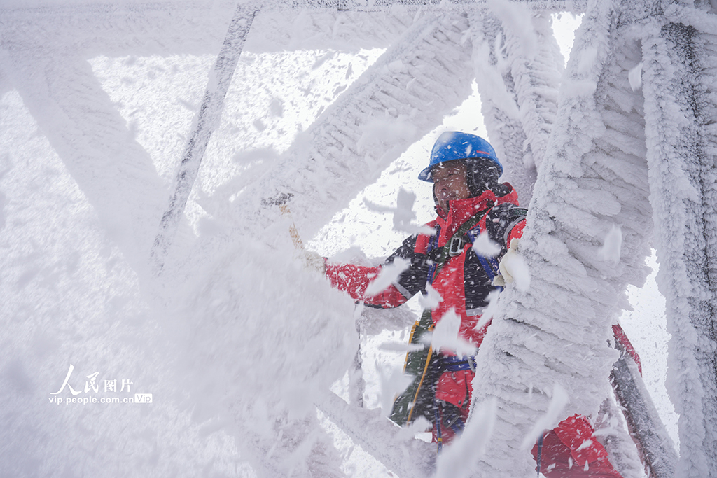 湖北鹤峰：冒雪巡线保供电【7】