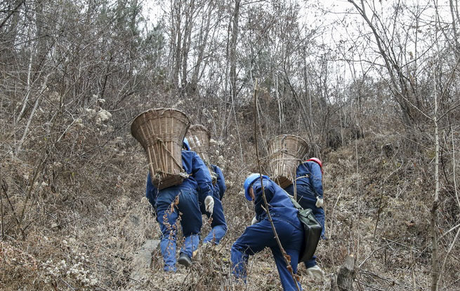 秦岭山区的“背篓电工”