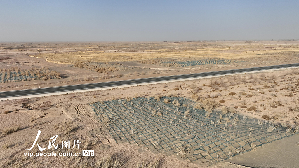 甘肃金塔：草方格中锁“黄龙”