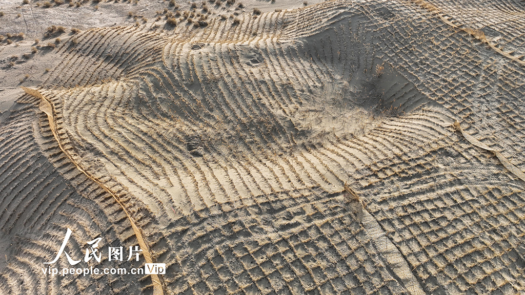 甘肃金塔：草方格中锁“黄龙”【3】