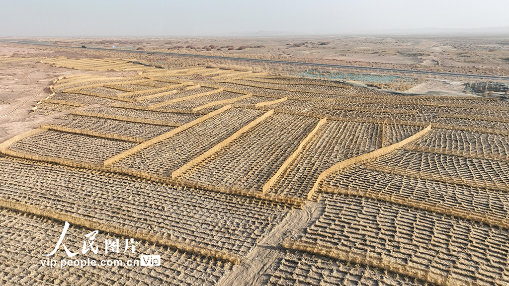 甘肃金塔：草方格中锁“黄龙”【4】