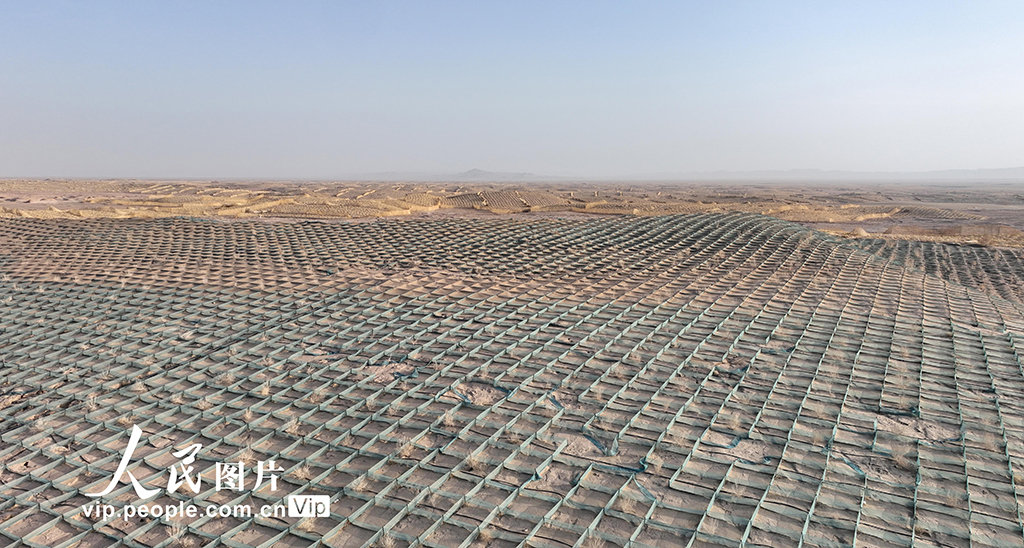 甘肃金塔：草方格中锁“黄龙”【5】