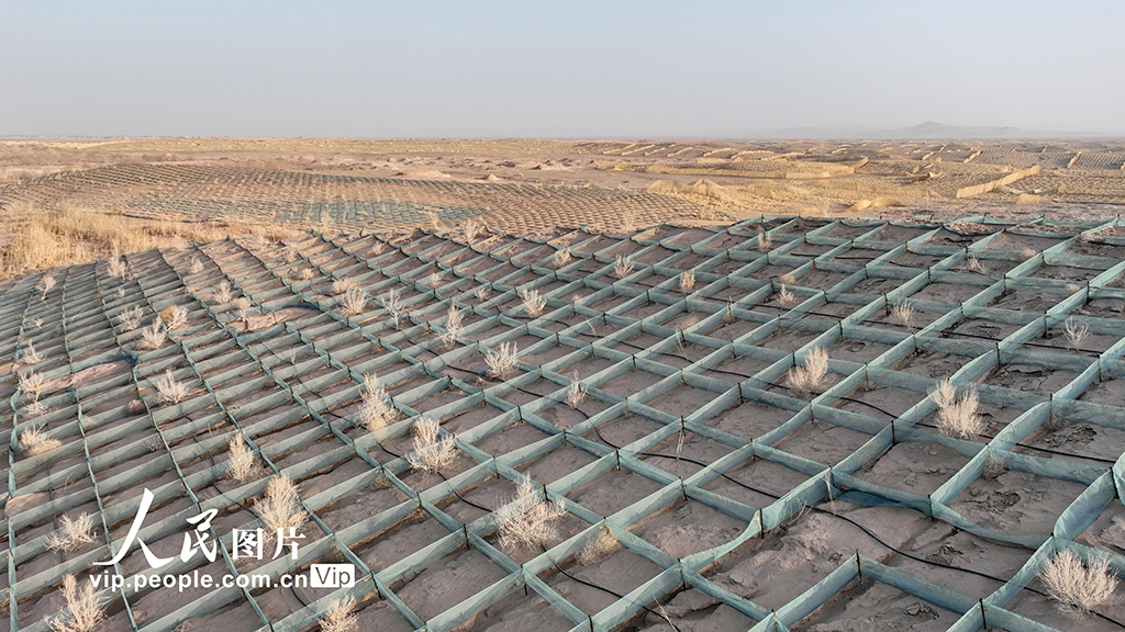 甘肃金塔：草方格中锁“黄龙”【7】