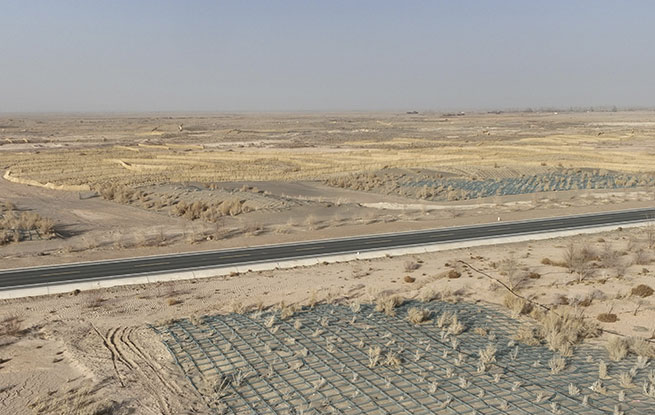 甘肃金塔：草方格中锁“黄龙”