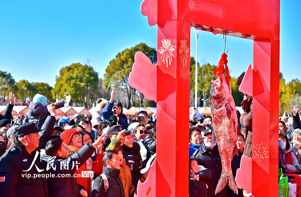 江苏如皋：龙游湖冬捕迎新春【5】