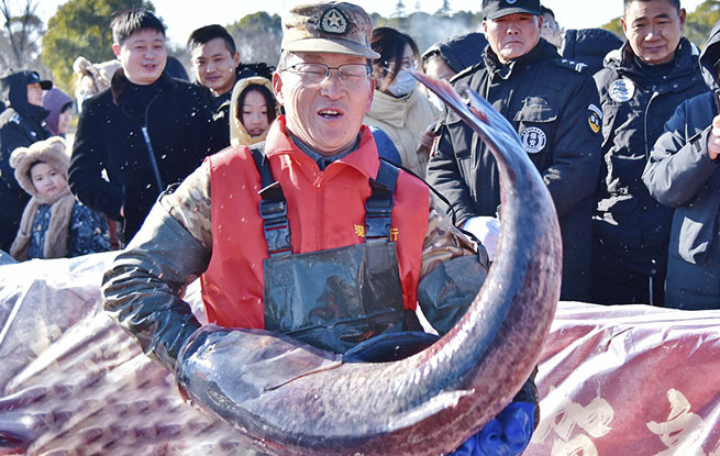 江苏如皋：龙游湖冬捕迎新春