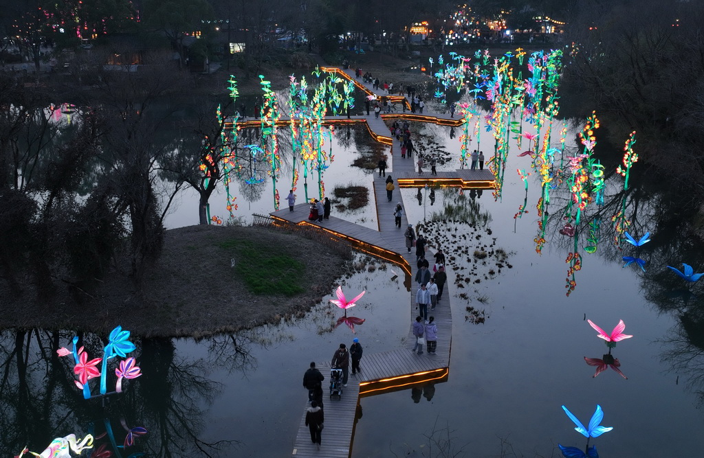 2月11日，游客在西溪湿地的花灯间行走（无人机照片）。
