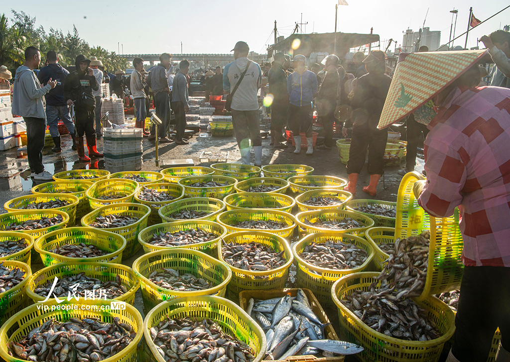 海南琼海：渔港交易忙【3】