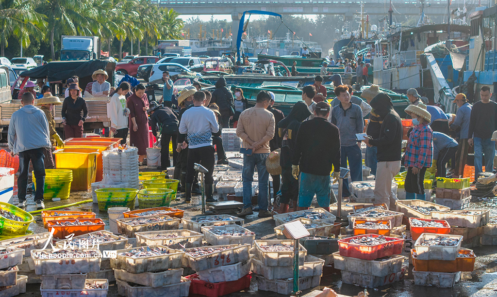 海南琼海：渔港交易忙【5】