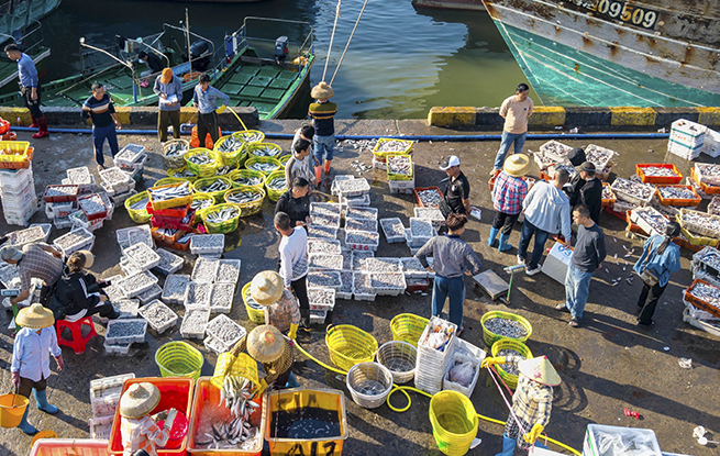 海南琼海：渔港交易忙